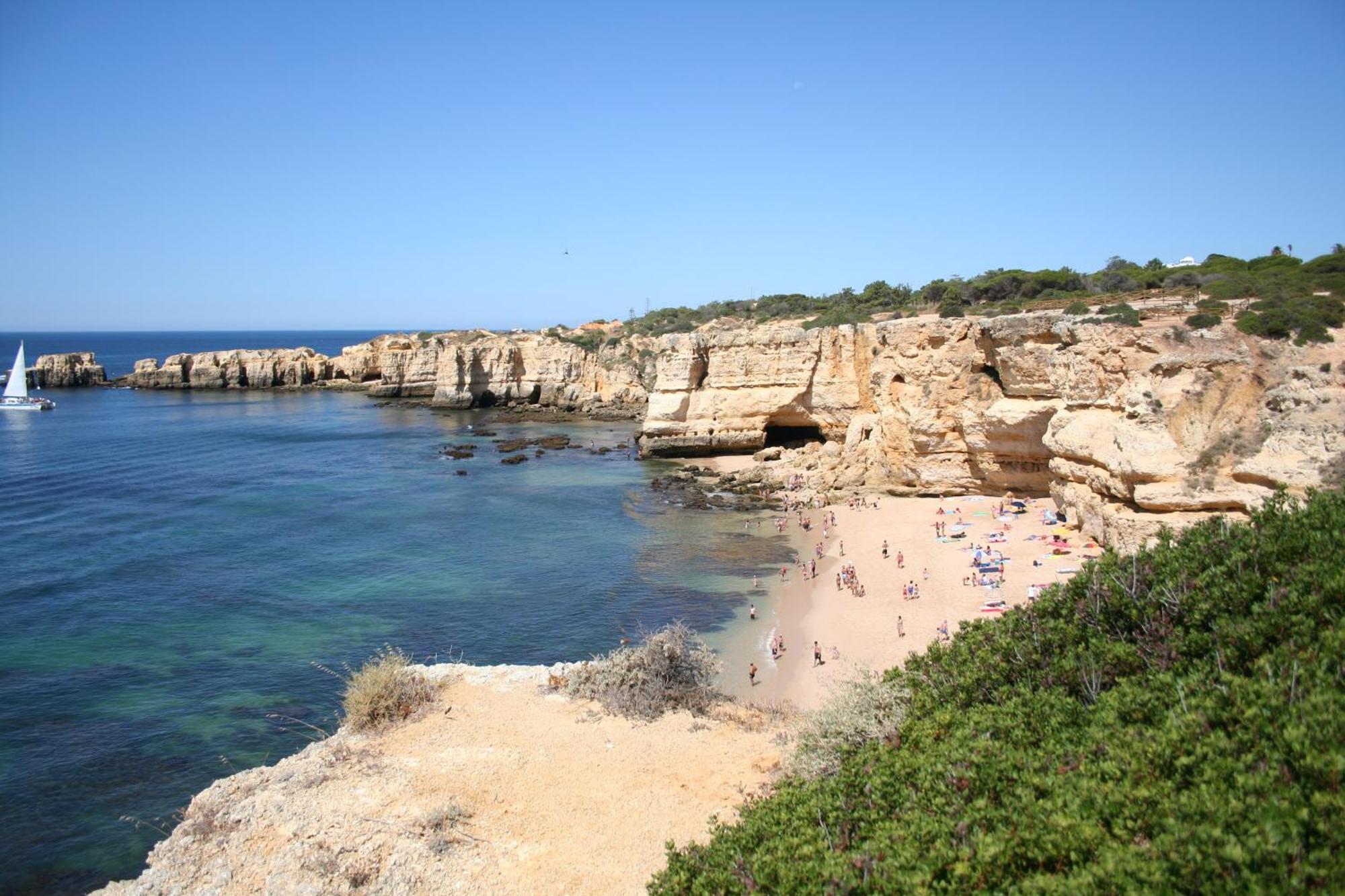 Pine Tree Apartments - Praia Da Coelha - Albufeira Eksteriør billede